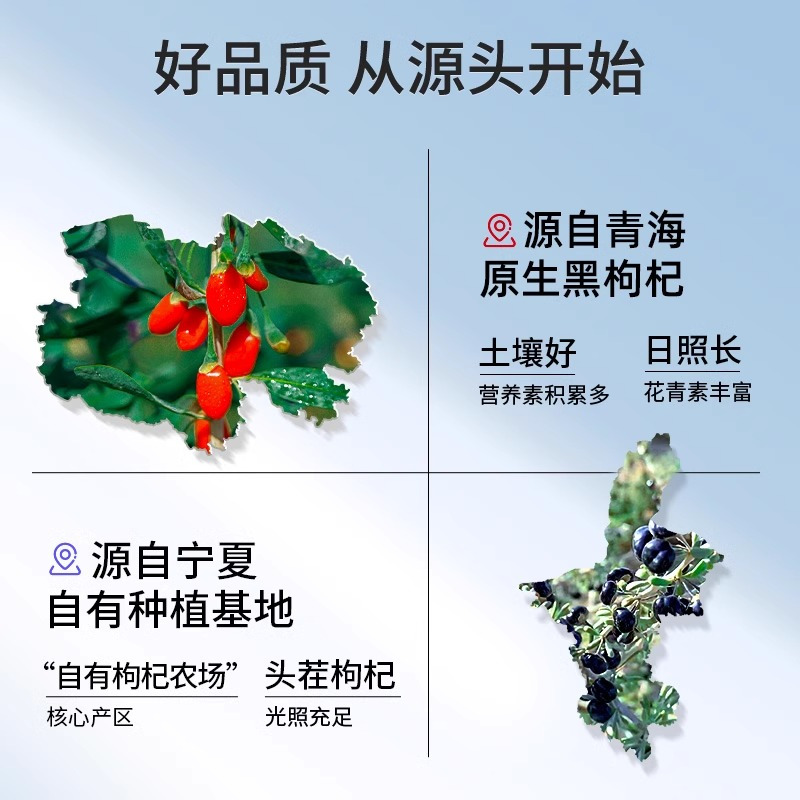1800ml(60袋)量贩装黑枸杞原浆T红枸杞原浆红枸杞原浆黑枸杞原液枸杞汁官方旗舰店高清大图