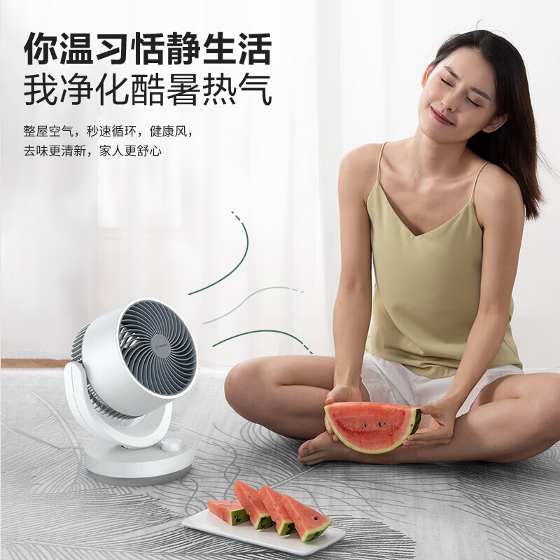 艾美特(AIRMATE)空气循环扇家用节能小型落地电风扇四季循环对流换气桌面小风扇大风量宿舍台式摇头轻音电扇 X28高清大图