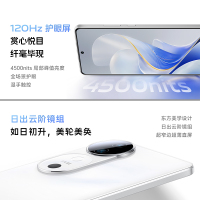 vivo S19 12GB+256GB 桃花扇 全网通5G新品手机第三代骁龙7旗舰芯片前后双柔光环拍摄6000mAh80W快充拍照游戏学生智能手机