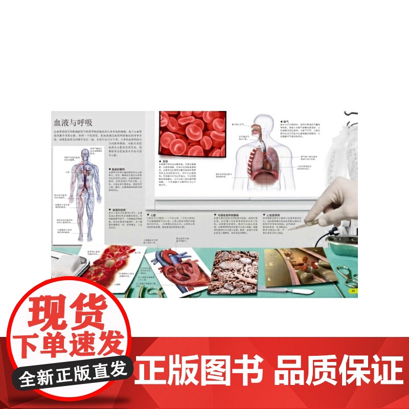 [央视网]DK儿童视觉百科全书·科学 大开本高清图文中小学生少儿趣味宇宙天文自然地理科普类书籍 BK高清大图