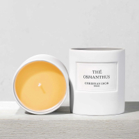 Dior迪奥 典藏系列香氛蜡烛250g OSMANTHUS-桂语幽茗