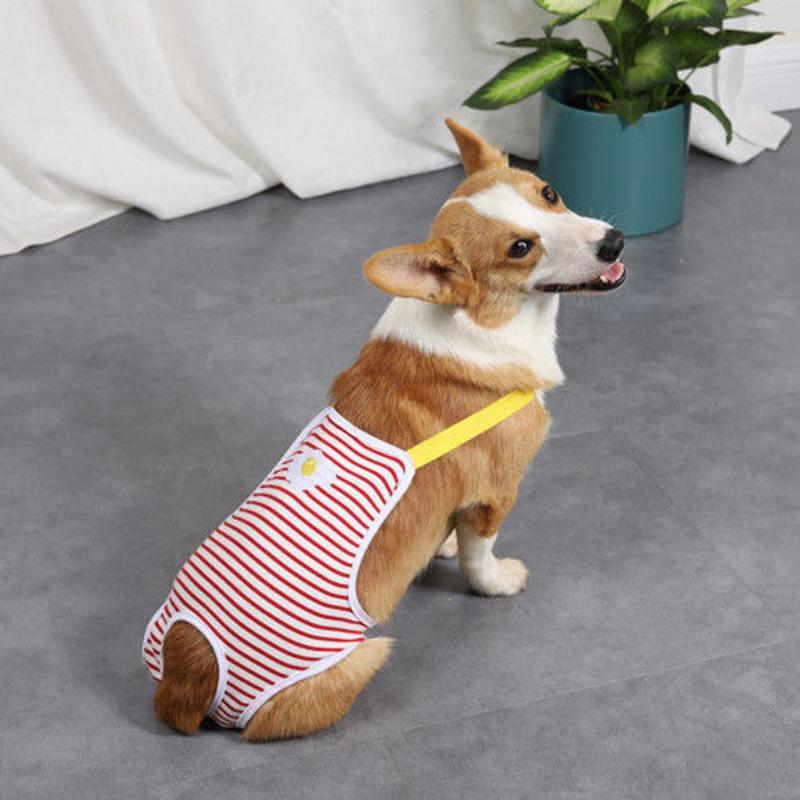 狗狗生理裤宠物衣服小狗法斗柯基泰迪比熊月经生理裤姨妈安全裤红色s