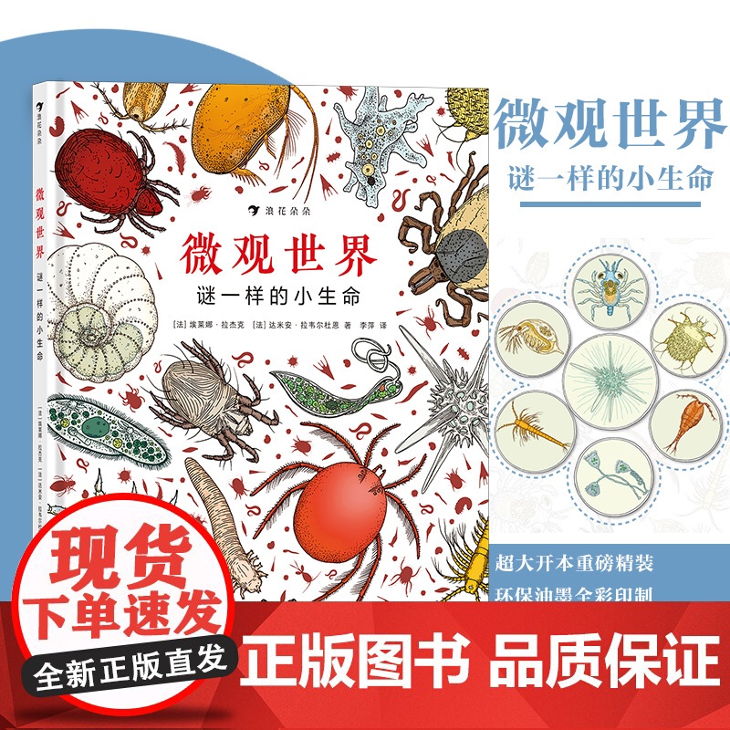微观世界 谜一样的小生命 3-12岁 儿童科普百科 手绘大场景 科普图画书高清大图