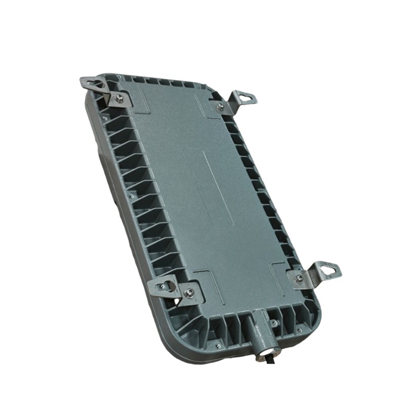 华荣(WAROM)HR-BLJC-1LROEI0.5W-Ex(GW)集中电源集中控制型防爆消防应急标志灯(单位:盏)高清大图