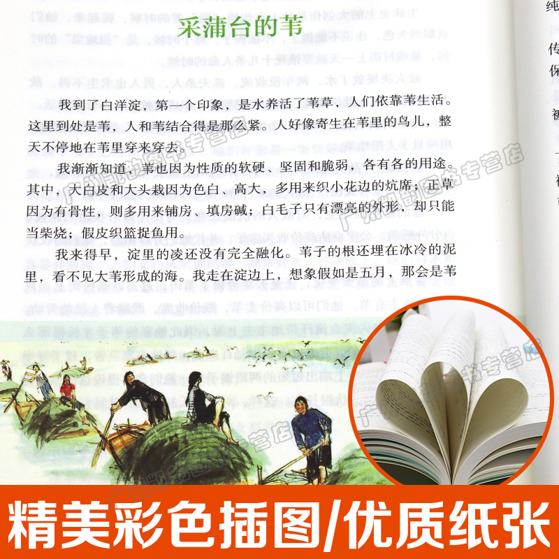 [正版]白洋淀纪事人民教育出版社 七年级上册 原著初中生孙犁 人教版文学初中语文阅读丛书 军事小说白洋淀记事白羊定7年高清大图