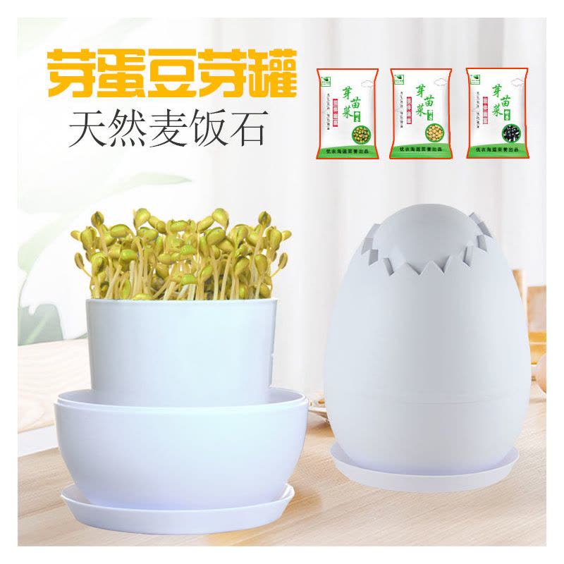 豆芽机家用麦饭石豆芽罐发黄豆绿豆黑豆芽种植桶豆芽菜种植盆塑料|芽蛋豆芽罐1-2人用（送黑豆2斤）图片