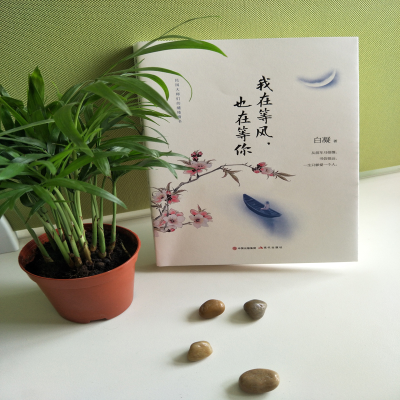 [正版]我在等风 也在等你书籍文学经典散文随笔小说作品集青春文学书籍书籍女性书籍值得女人认真读一读民国爱情故事 cys