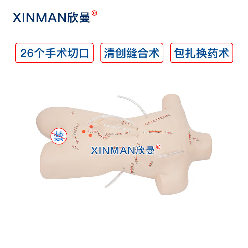 欣曼科教 外科缝合包扎展示模型 清创缝合拆线换药模拟人XM-LV18高清大图