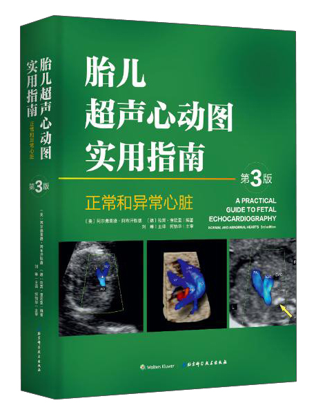 超声解剖及扫查技巧图解高清大图