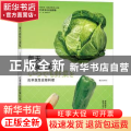 每天都要吃蔬菜(应季蔬菜佐餐料理)