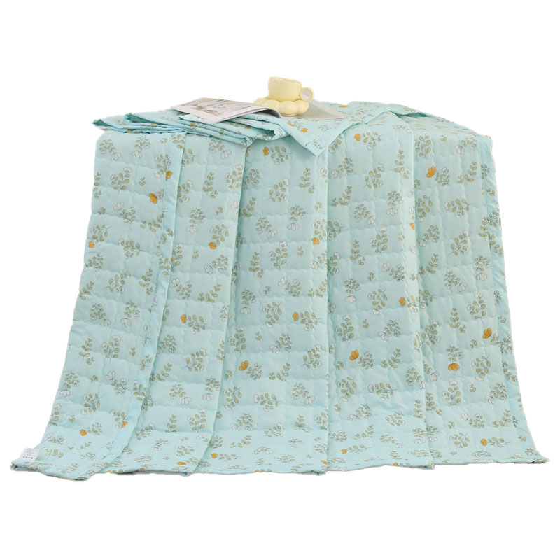 艾逸瑶选 佩蒂夏被150x200cm JF-24106