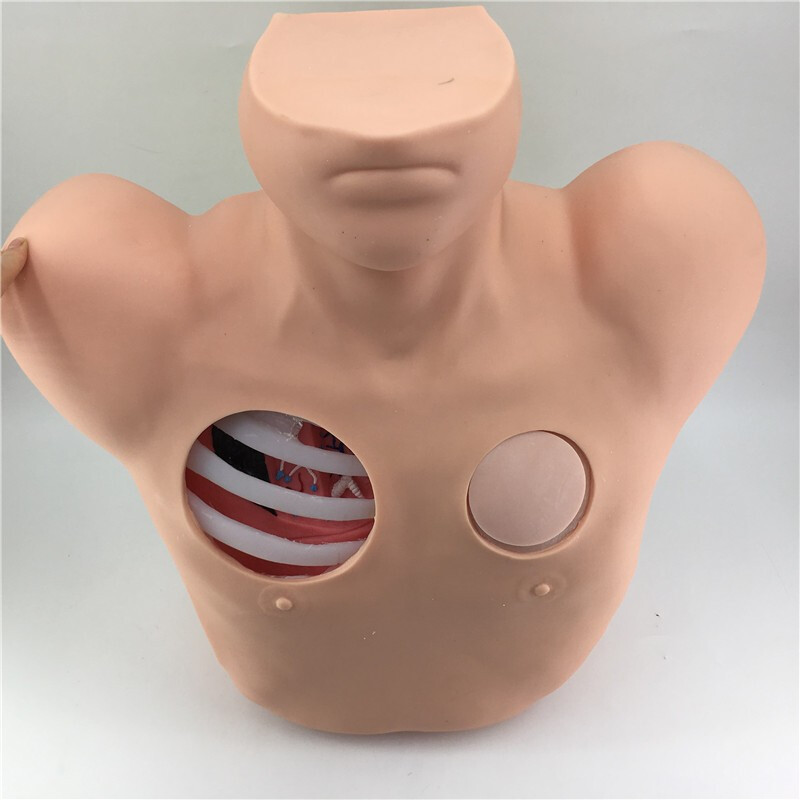 美善模型胸腔穿刺引流模型胸腔穿刺模型气胸液胸闭式处理模型胸腔引流