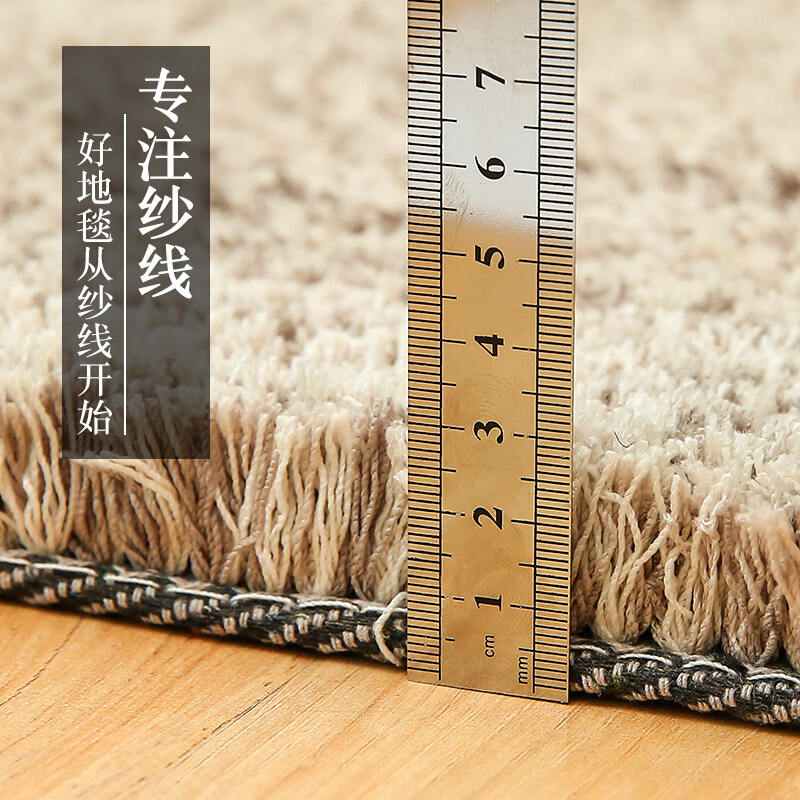 地毯客厅茶几垫北欧简约现代满铺房间床边毯加厚毛毛地毯卧室