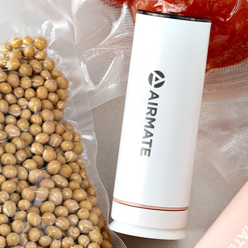 艾美特(AIRMATE)真空泵A组合CL0503 真空泵B组合CL0503