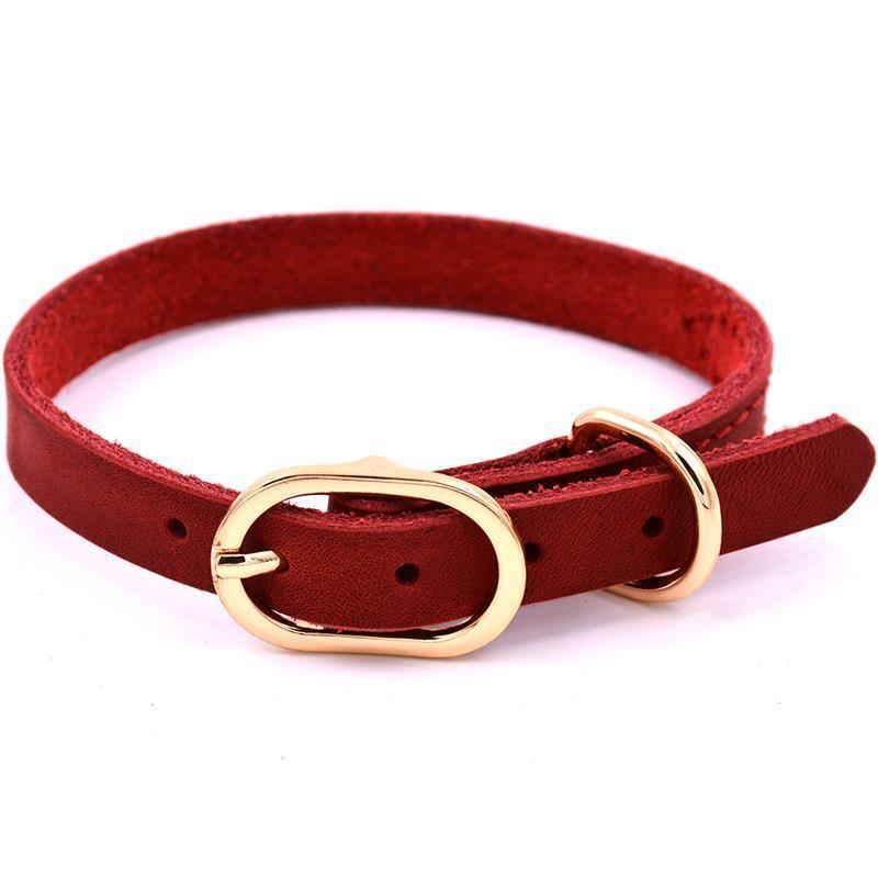 酒红色xxs牛皮小狗狗项圈泰迪猫咪脖圈小型犬吉娃娃比熊狗圈宠物猫脖