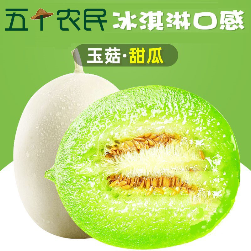 [五个农民]精品甜瓜组合3个装约8.5斤 玫珑网纹瓜*1西周密*1玉菇瓜*1 新鲜水果甜瓜蜜瓜 产地直发