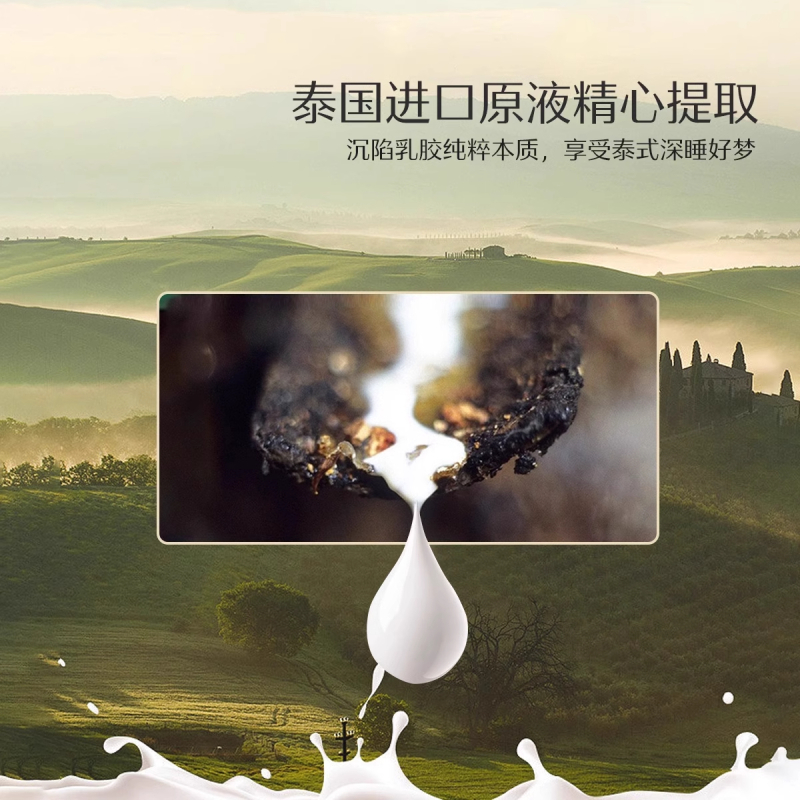 水星家纺泰国进口原液乳胶枕头呵护颈椎枕学生宿舍单人枕芯成人辅助睡眠枕