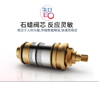 法恩莎卫浴挂墙式暗装可调多功能方形大花洒F2H9045SC恒温花洒