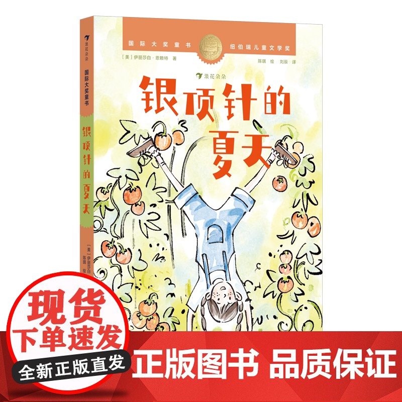 国际大奖童书:银顶针的夏天(纽伯瑞儿童文学金奖作品,全球的经典成长小说)高清大图