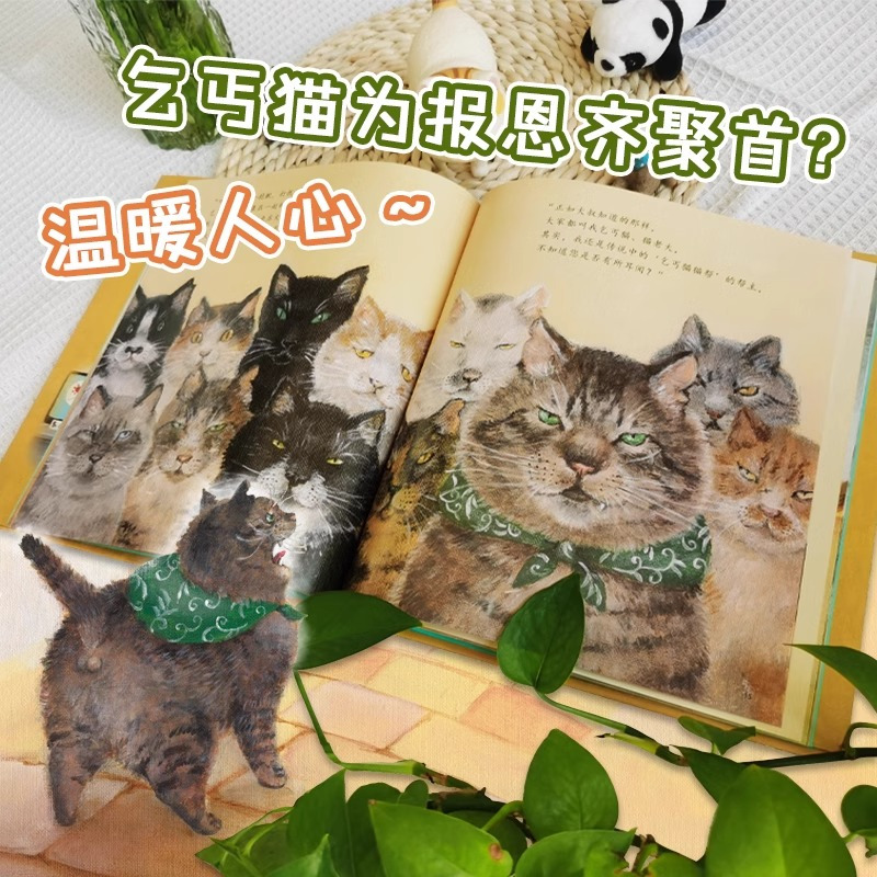 商店街的猫老大 [正版]北斗心灵教科书绘本系列:商店街的猫老大 3-6岁儿童阅读故事书早教启蒙绘本书籍