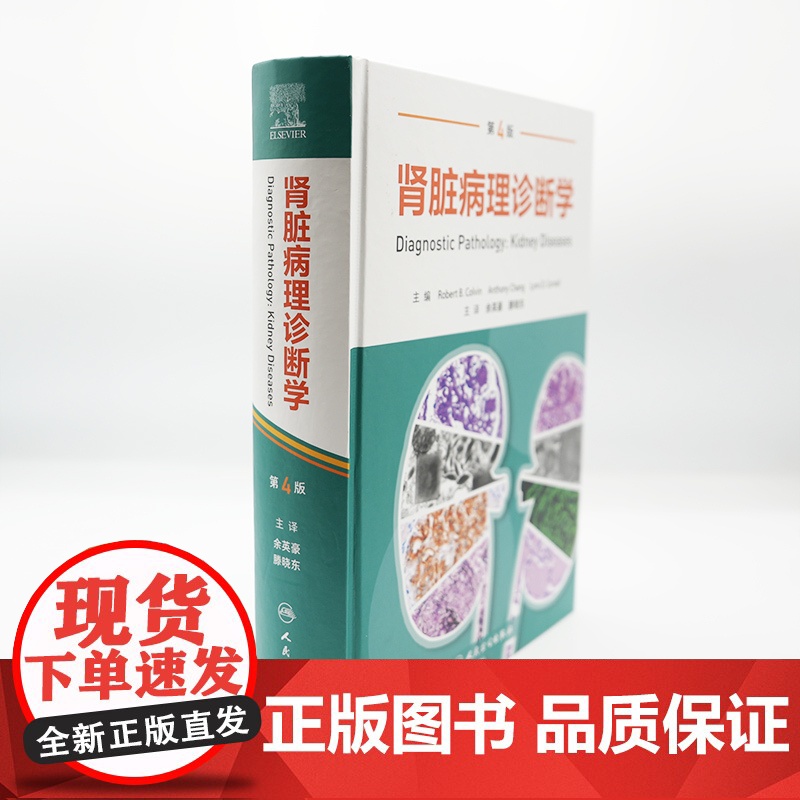 肾脏病理诊断学(翻译版)肾脏感染性疾病肾移植特发性非狼疮“满堂亮”肾病、噬血细胞性肾小球肾炎冷纤维蛋白原肾小球病人民卫生高清大图