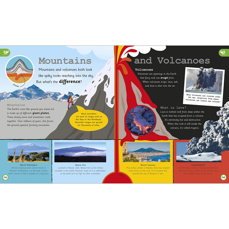 [正版]DK少儿百科全书:这是我们的地球 英文原版 My Very Important World 工具书 经典科高清大图