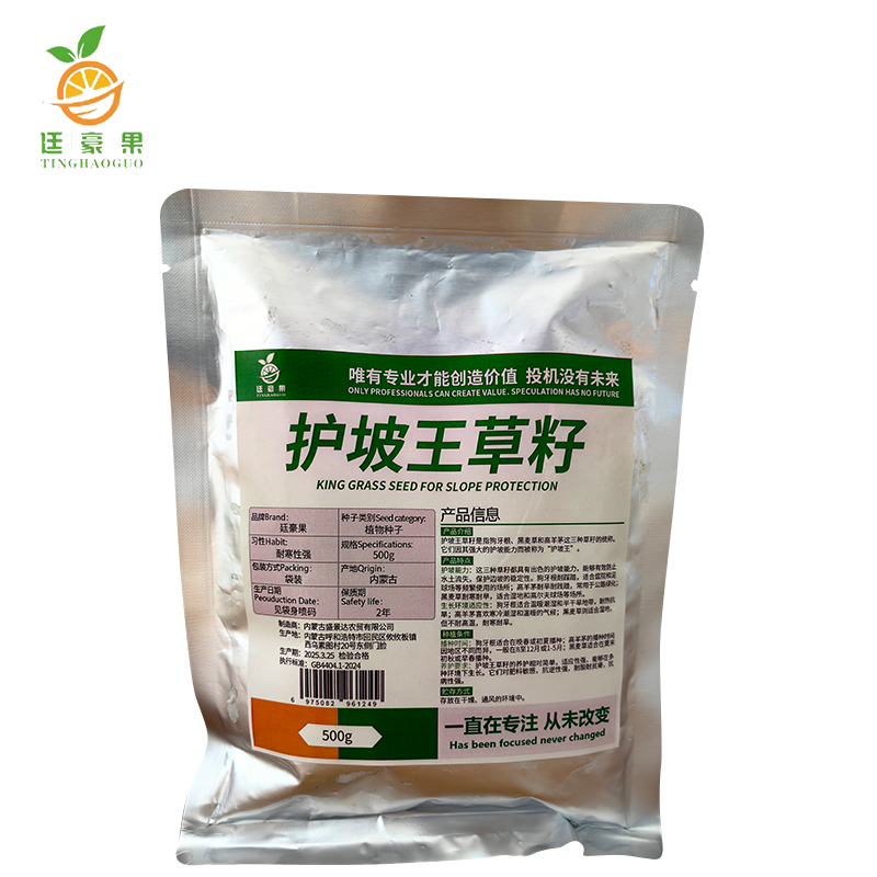 廷豪果 护坡王草籽 绿化草坪种子 500g/袋高清大图