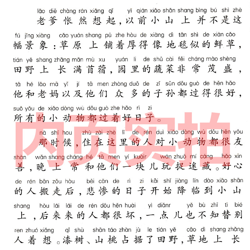 兔子坡 注音版 [正版]兔子坡注音版二年级三年级一年级书籍小学生必读课外书新蕾出版社罗伯特罗素的故事绘本一二世界儿童文学