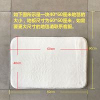 北欧地毯卧室床边毯客厅地垫毛绒房间满铺儿童茶几毯加厚简约家用