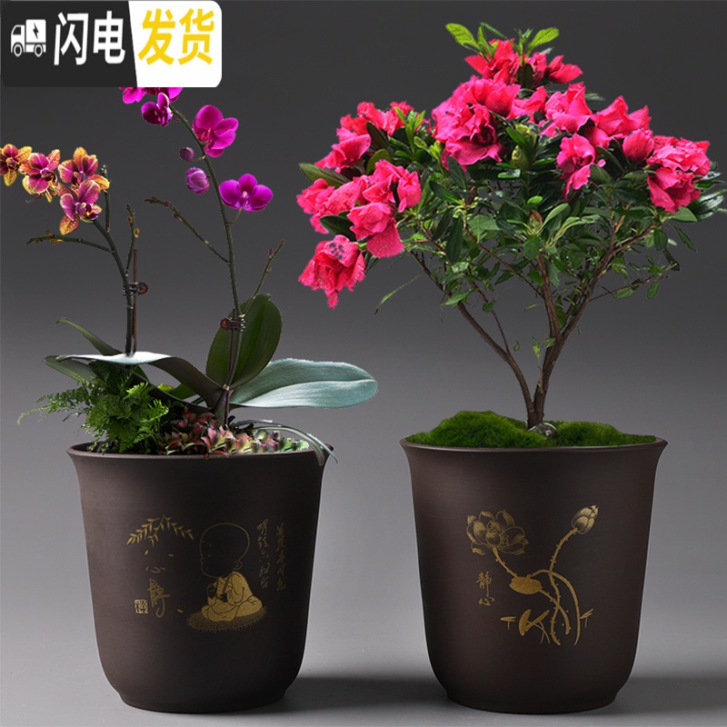 三维工匠老桩紫砂花盆陶瓷肉肉家用简约创意大号绿萝多肉小花盆栽 JF-紫砂花盆-菊 11cm花盆容器高清大图