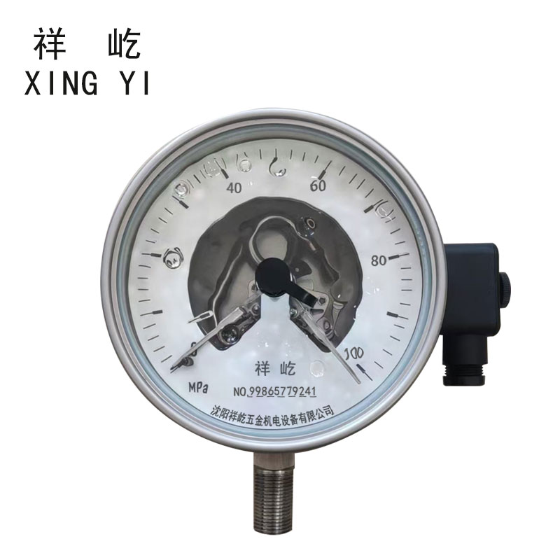 祥屹 抗震电接点压力表检测定制型 YTNXC100 块