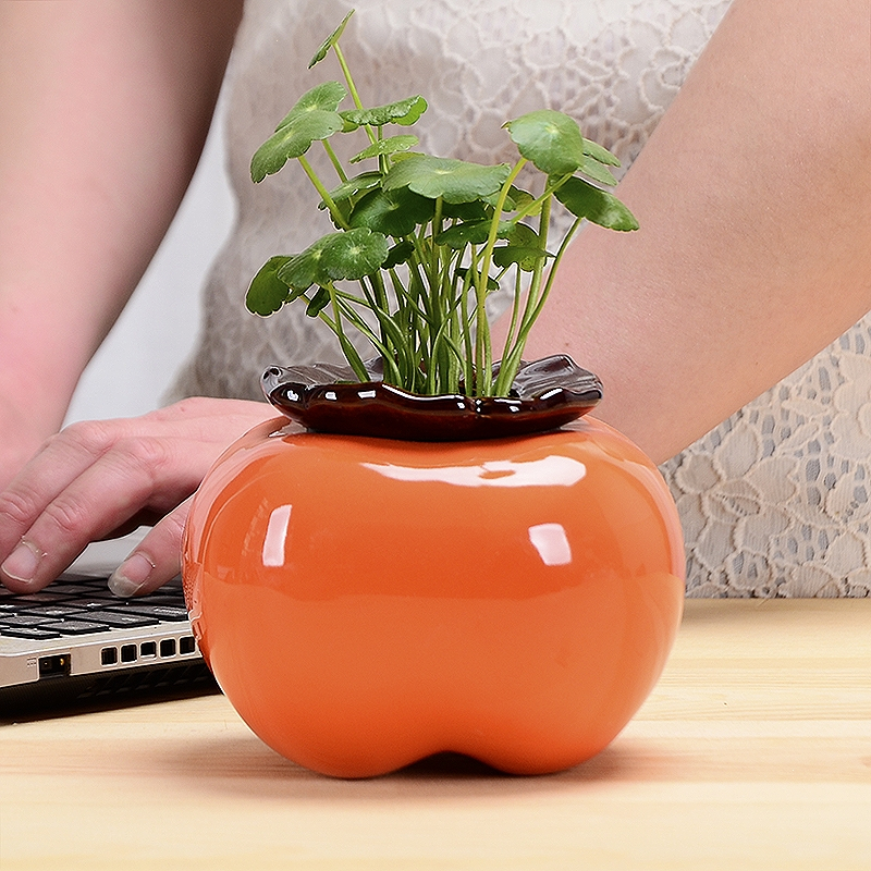 古达柿子花瓶陶瓷水养绿萝水培花盆花器客厅桌面办公桌装饰品摆件