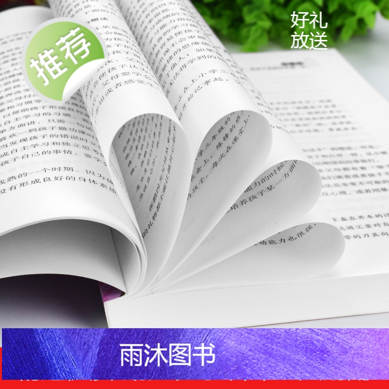 陪孩子走过小学六年级 家庭教育书籍 陪孩子走过小学六年3-6年正版 陪小孩陪你一起孩子的书籍正面管教养育女孩男孩育儿樊登高清大图