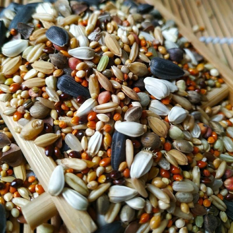 鹦鹉粮中小型鹦鹉混合粮虎皮玄凤牡丹横斑鹦鹉饲料鹦鹉精品粮3合1小型