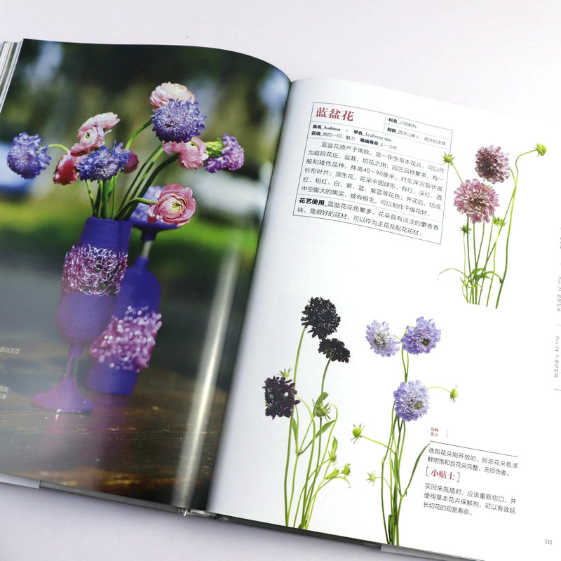 [正版]花艺素材大全 鲜切花品种图册园艺花叶枝果干燥花植物图鉴识别花图鉴花艺素材图解花店插花设计DK园艺学会家居植物实高清大图