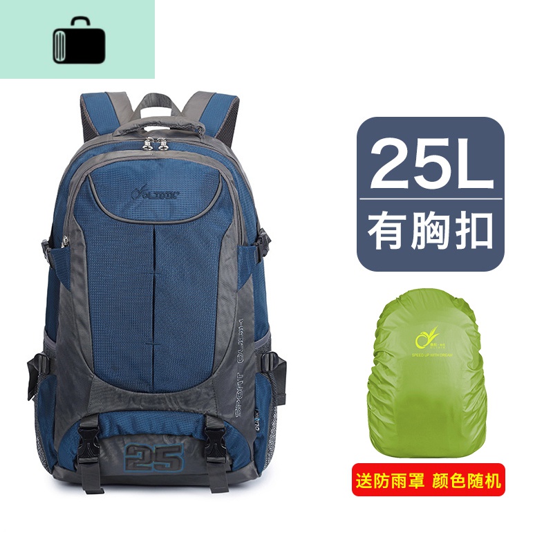 双肩包2020年新款大容量女户外旅行背包男行李休闲旅游轻便登山包NEWLAKE 宝兰（小号）