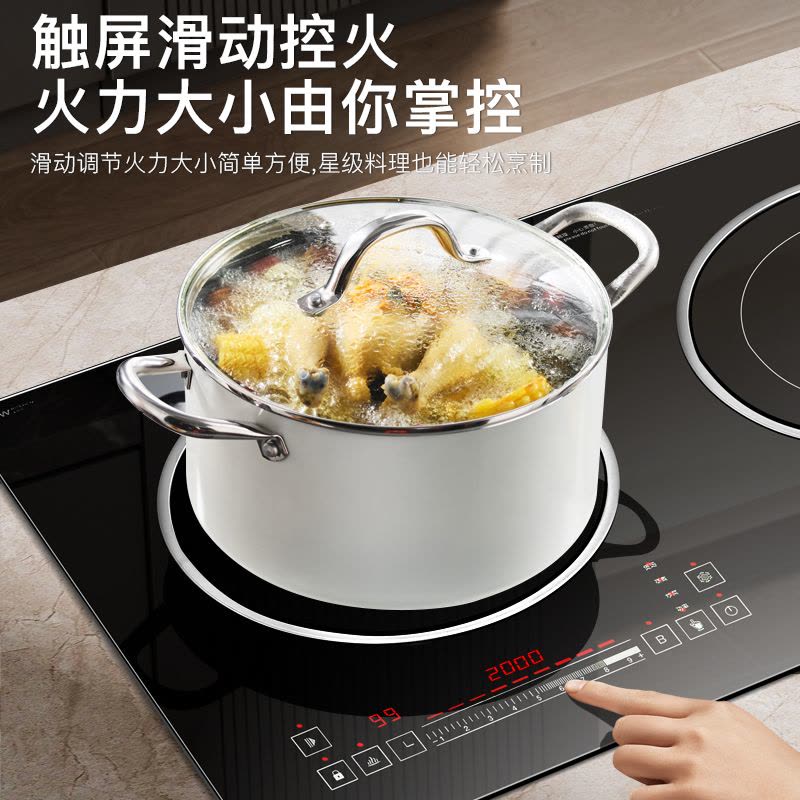 [铜电双头]德鲁纳(DELUNA)嵌入式电磁炉双灶4800W猛火大功率纯电电磁灶家用镶嵌式台式电池炉图片