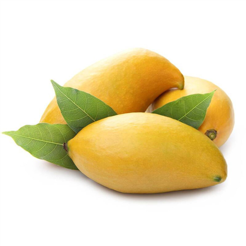 阳光味道缅甸鹰嘴芒纯进口5斤装68个果大核小甜蜜清爽芒果