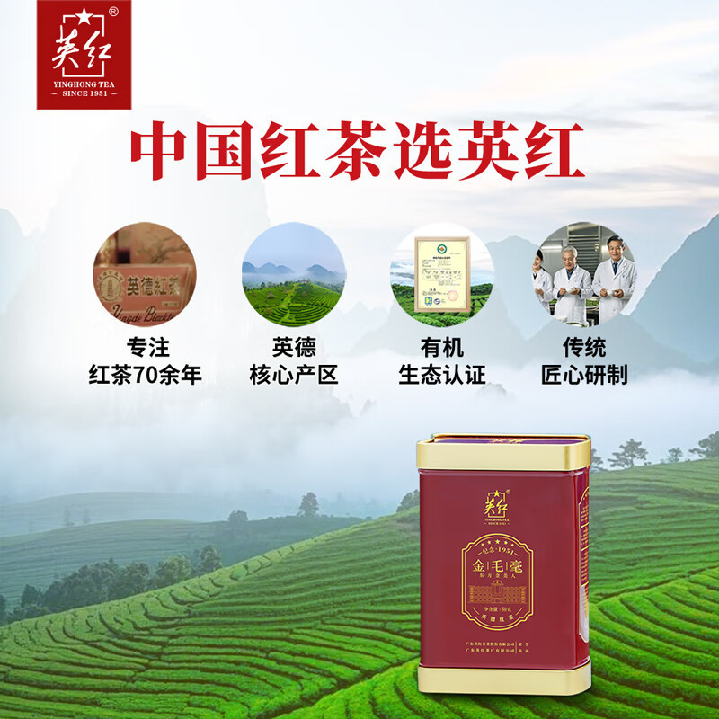 英红牌红茶英红九号明前春茶2025新茶特级金毛毫罐装50g(影)高清大图