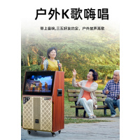 TEMEISHENG 特美声 QX12-67户外广场舞带显示屏音响大功率点歌移动ktv拉杆视频音箱 QX12-67