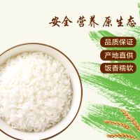 【中华特色】河北供销馆 柏各庄 长粒香米 25kg装 产地直发农家生态种植绿色蟹田珍珠米 河北唐山特产
