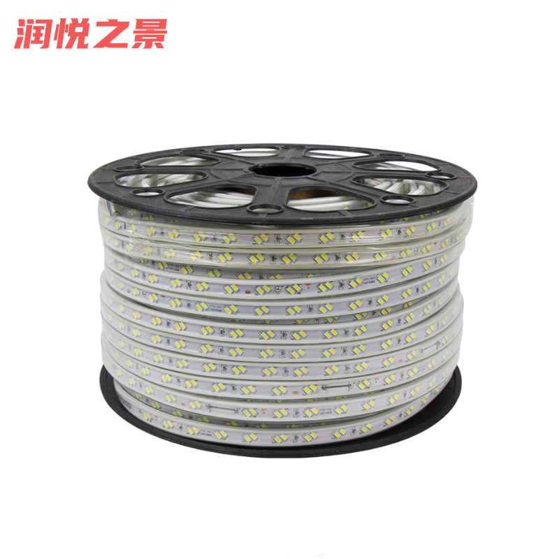 润悦之景 5730斜2排灯带(100米) 10MM 卷