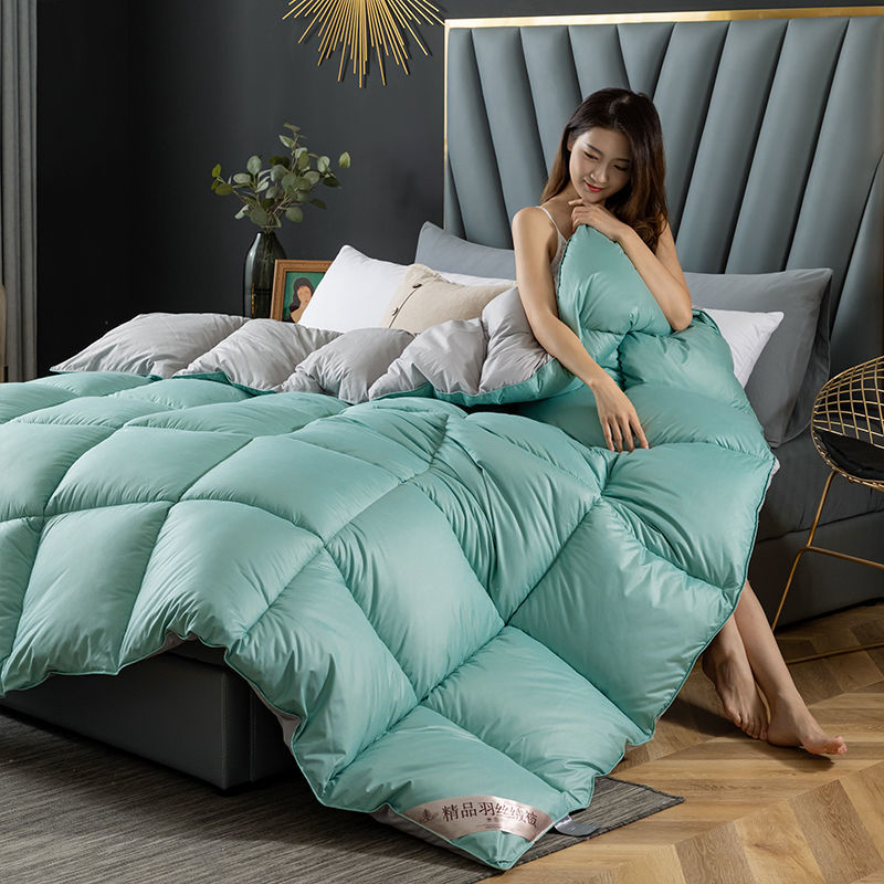 加厚保暖棉被子冬被学生宿舍被褥春秋单双人被芯高清大图