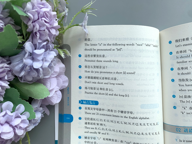 2册]英语教师课堂用语百科全书+用语手册( [正版] 英语教师课堂用语百科全书 英语课堂用语大全 英语教师课堂用语高清大图