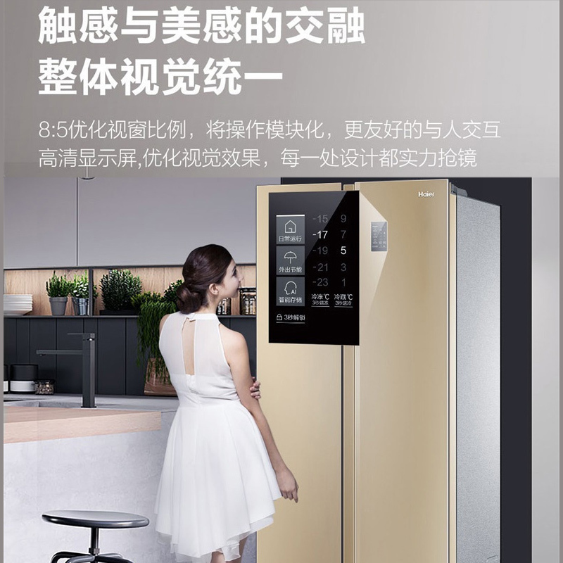海尔(Haier)480升对开门嵌入式冰箱 智+魔方视窗 纤薄不占地 每天不到一度电 家用电冰箱 BCD-480WBPT