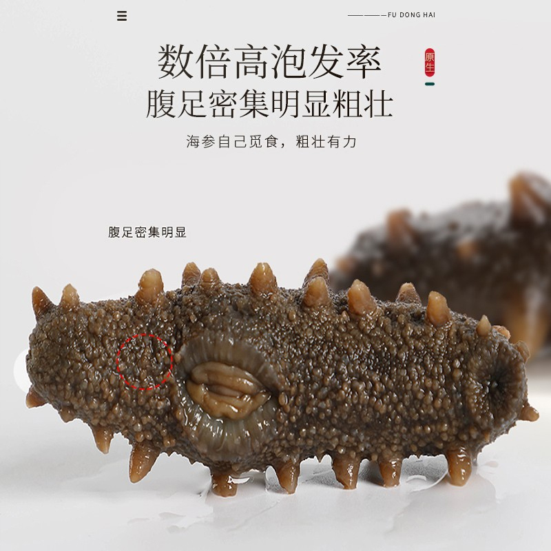 褔東海(FU DONG HAI) 海参礼盒 100g(80头)