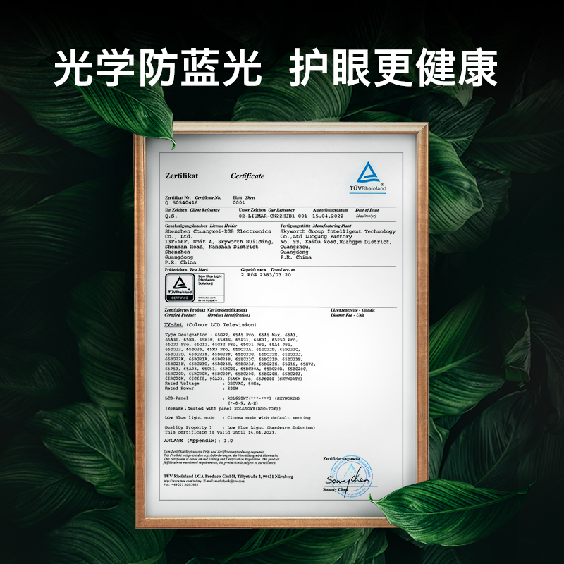 3T 65高清大图