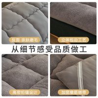 卡洛儿杜香羊羔绒床垫软垫学生宿舍单人榻榻米海绵垫子褥子冬季加厚保暖垫被