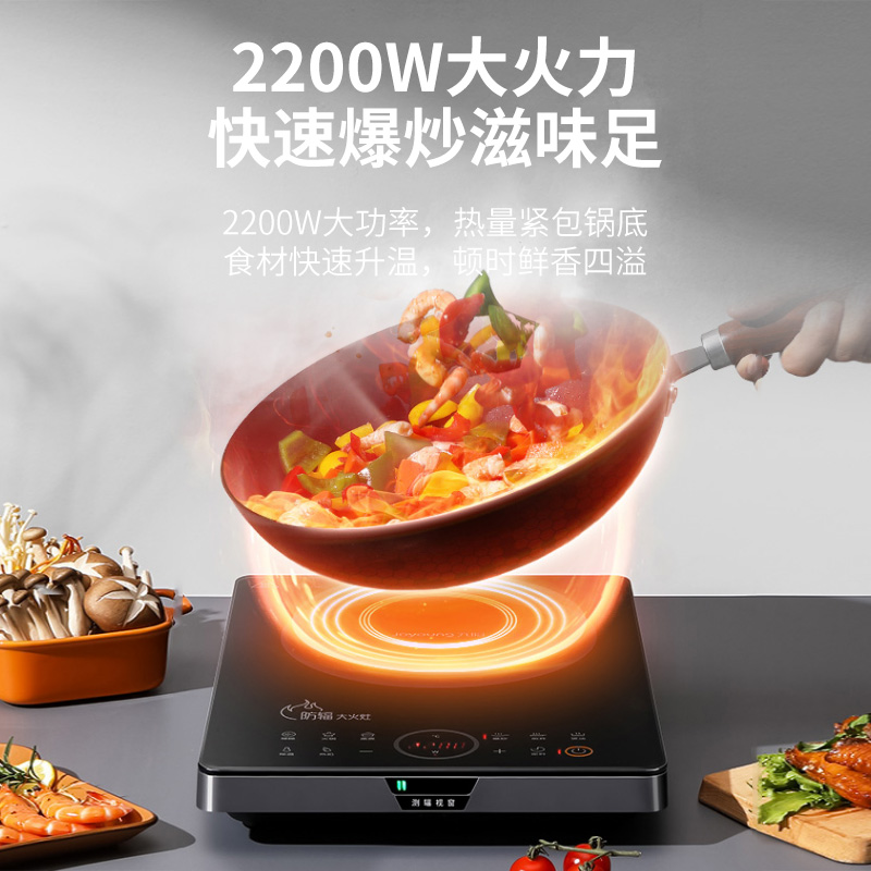 九阳电磁炉 C22-F7(配汤锅+炒锅)高清大图