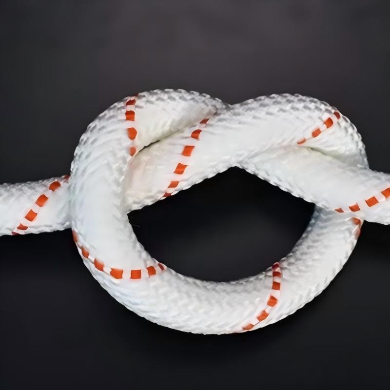 耀为(YAOWEI)工具尼龙绳 钢丝芯加粗多功能耐磨绳子长5m,直径20mm高清大图